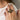Lucky Clover Ring
