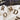 Harf Kolye NowArt Jewelry